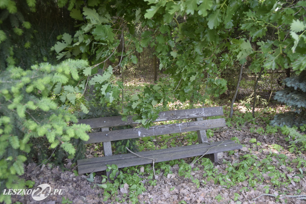 Spotkanie konsultacyjne w leszczyńskich lasach