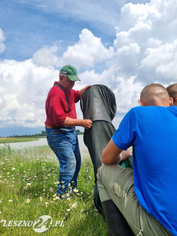 O puchar burmistrza Rydzyny