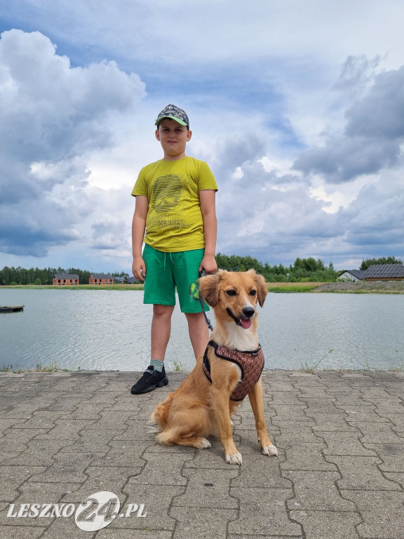 O puchar burmistrza Rydzyny