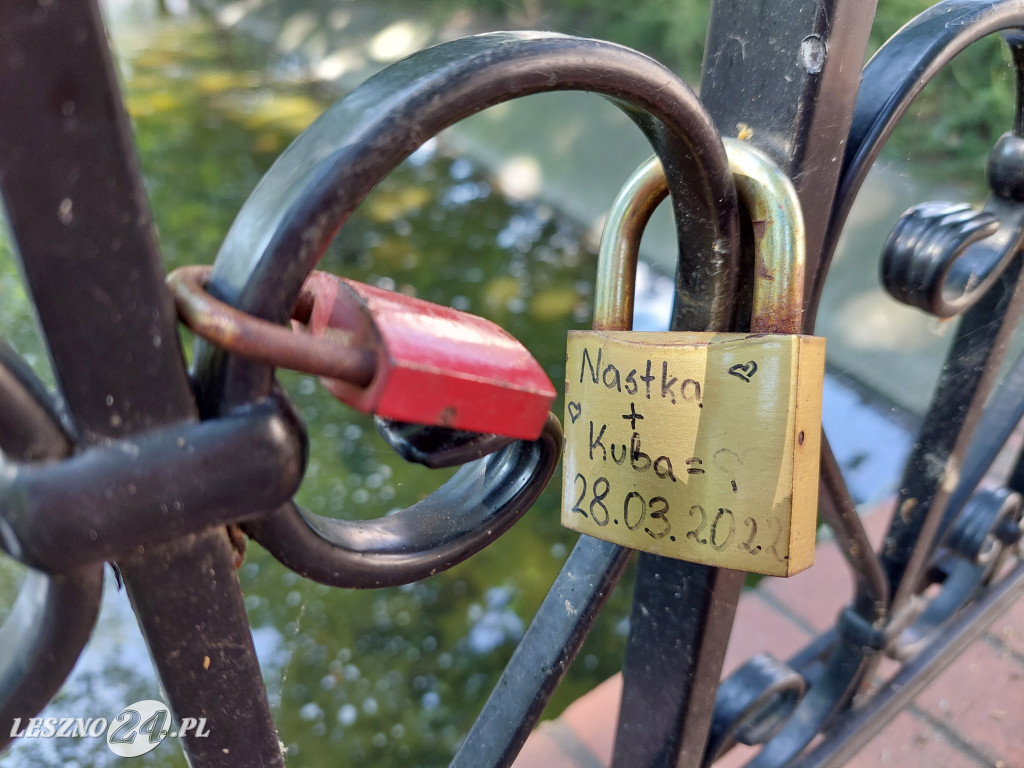Symbole miłości w parku Kościuszki