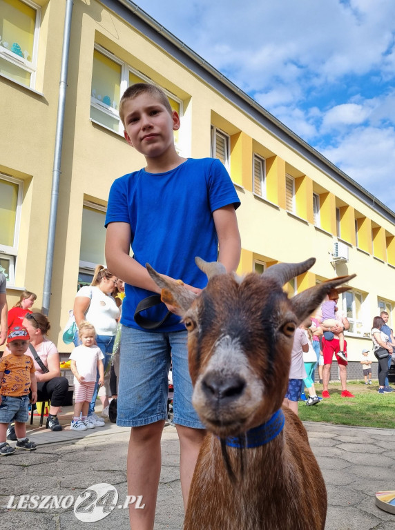 Festyn rodzinny w Przedszkolu nr 7