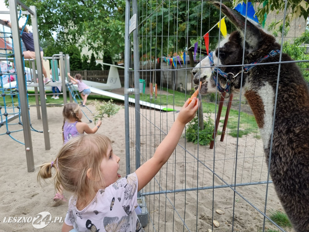Festyn rodzinny w Przedszkolu nr 7