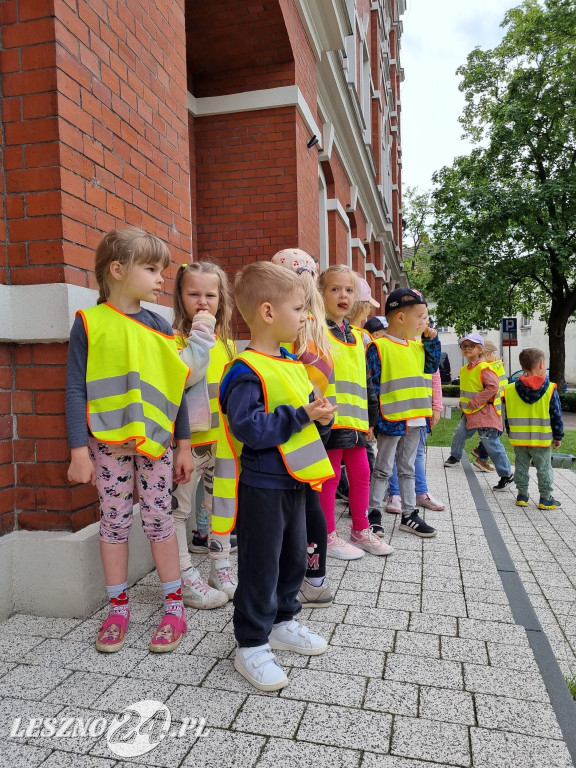 Dzień bezpieczeństwa w bibliotece