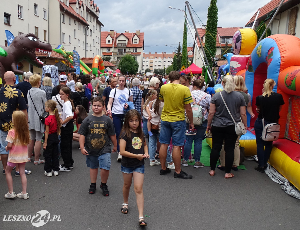 Powitanie Lata na Ogrodach w Lesznie (zdjęcia)