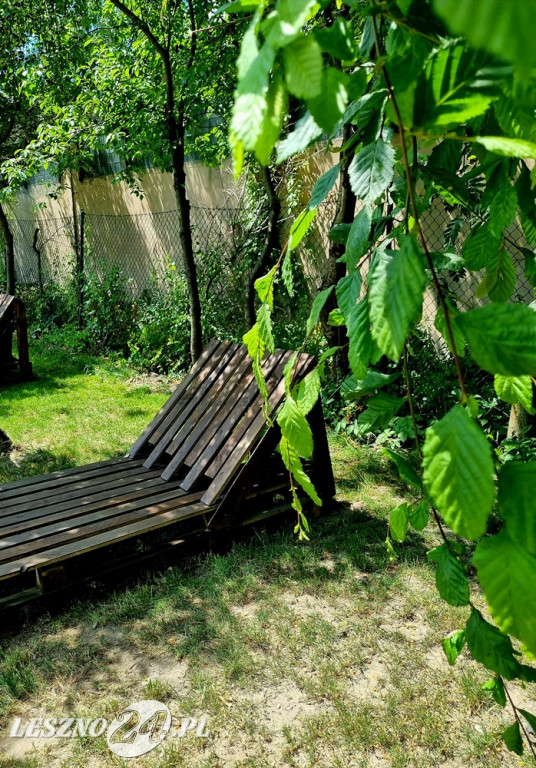 Młodzież z ZSE-T w Lesznie działa dla klimatu