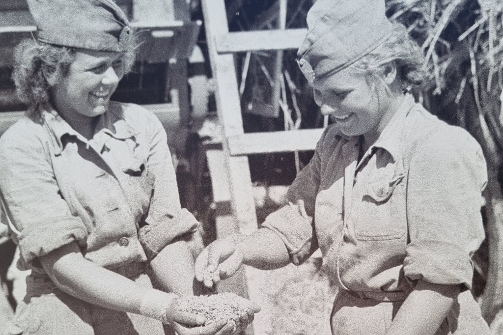 Wystawa na Rynku w Lesznie