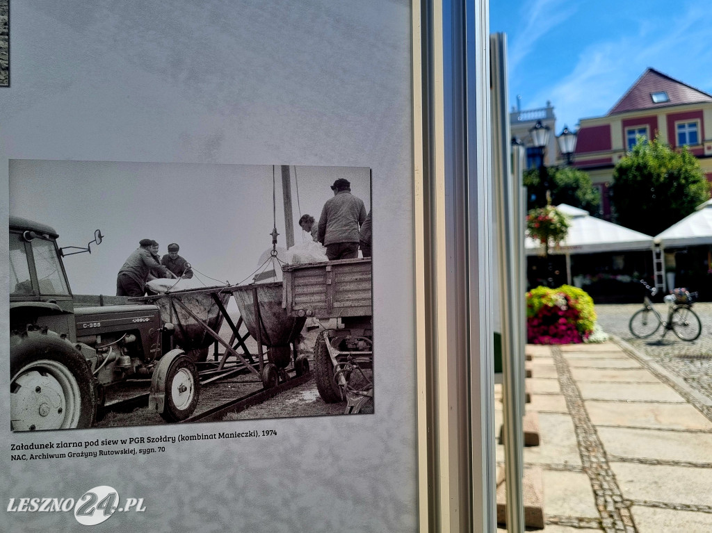 Wystawa na Rynku w Lesznie