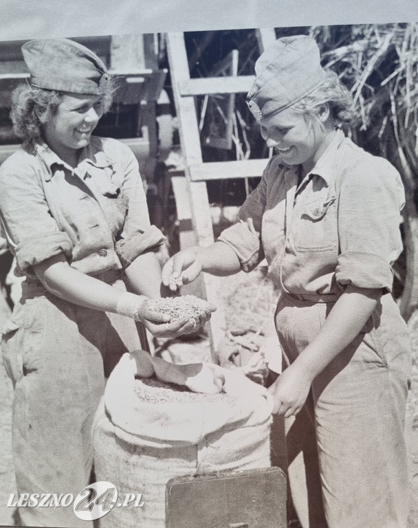 Wystawa na Rynku w Lesznie