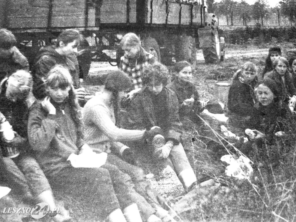 Wystawa na Rynku w Lesznie