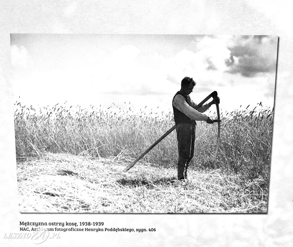 Wystawa na Rynku w Lesznie