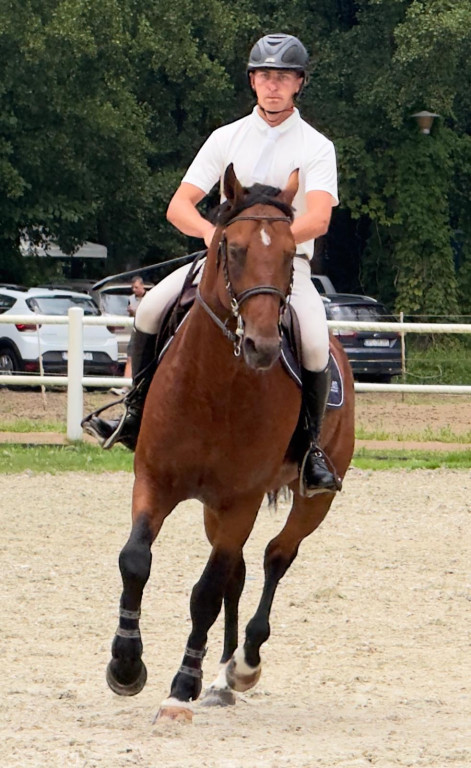 Zawody konne w Boszkowie