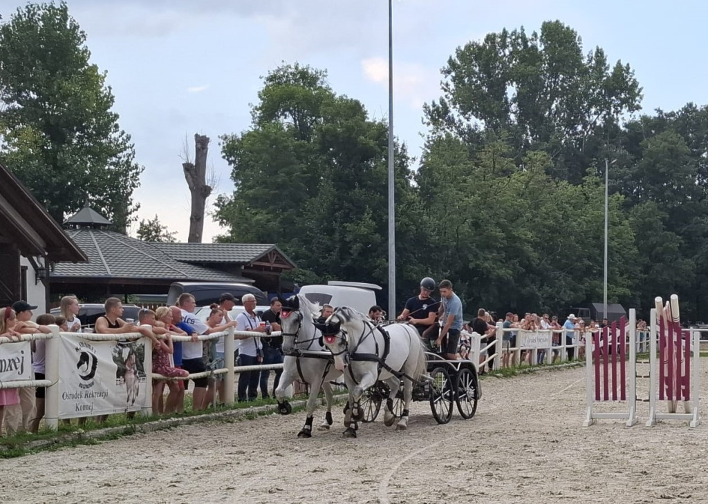 Zawody konne w Boszkowie