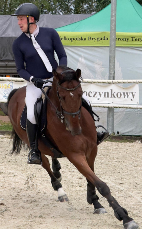 Zawody konne w Boszkowie