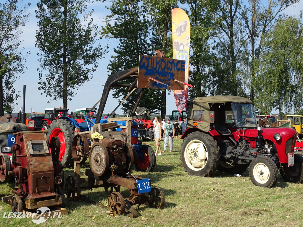 Festiwal starych ciągników w Wilkowicach 2024