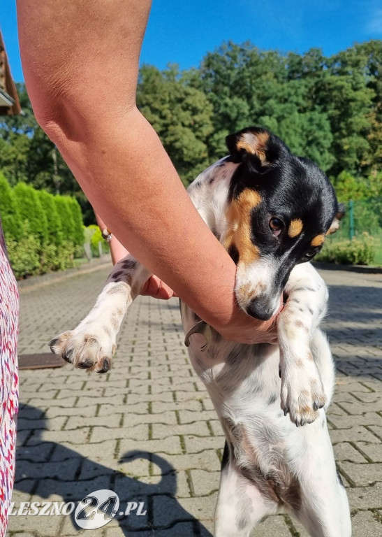 Panie z KGW Rydzyna mają ważne zadanie
