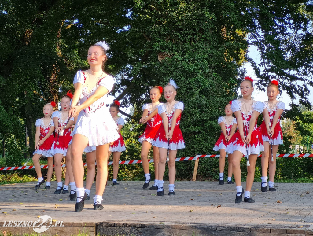Dzień Powiatu Leszczyńskiego w Rydzynie