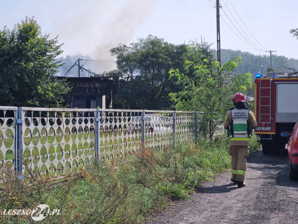 Pożar w Trzebinach w gminie Święciechowa