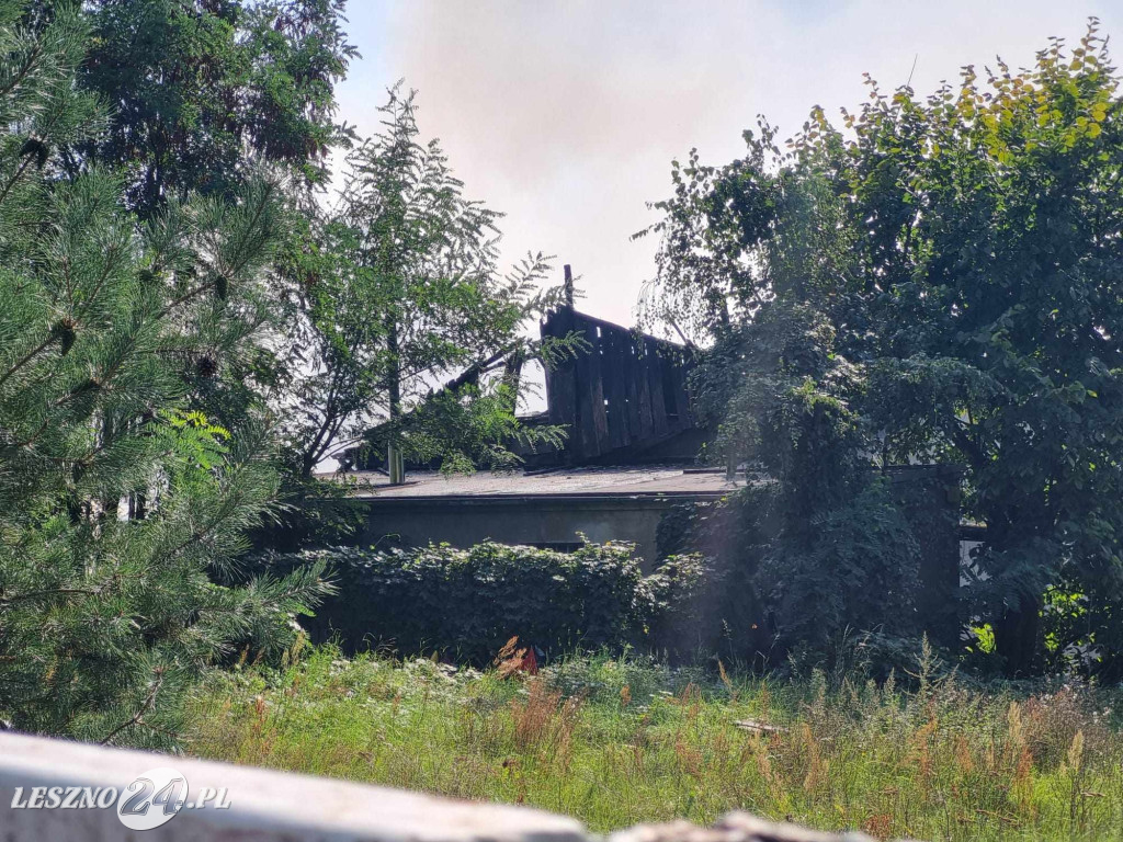 Pożar w Trzebinach w gminie Święciechowa