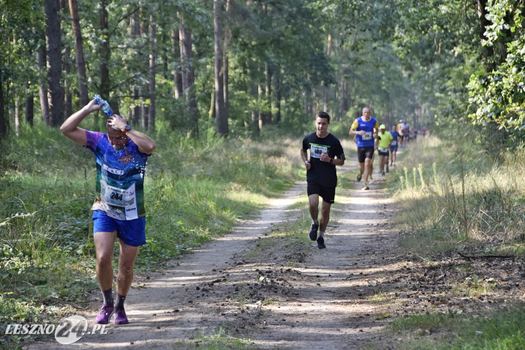 C&C Partners Półmaraton Leszno - na trasie