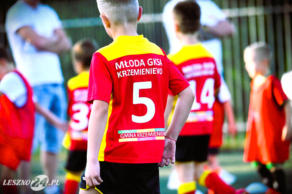 Turniej OHZ Garzyn CUP 2024