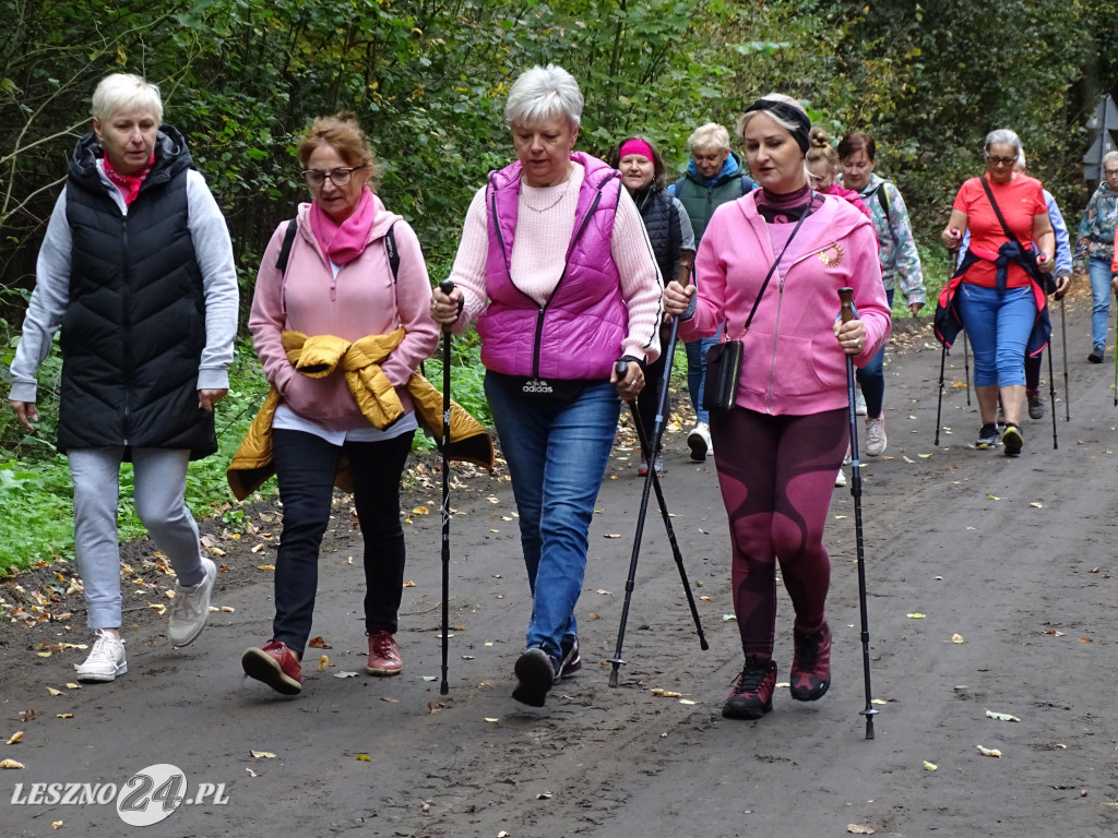 Różowy Marszobieg i Parkrun w Karczmie Borowej