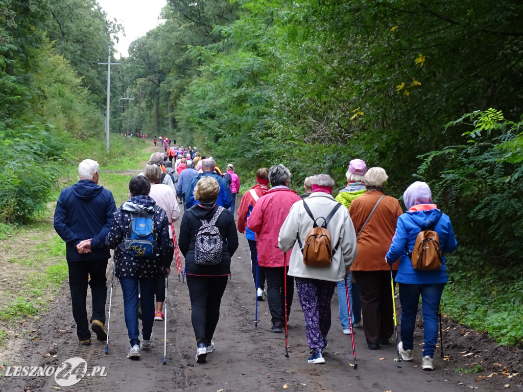 Różowy Marszobieg i Parkrun w Karczmie Borowej