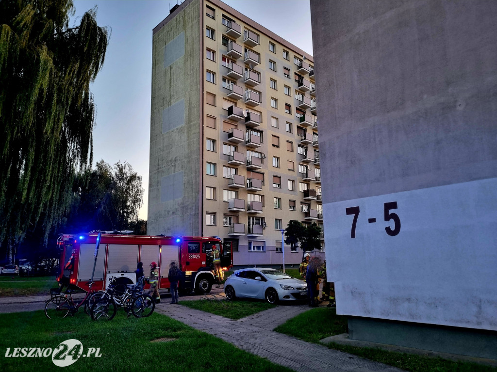 Strażacy na ul. Węgierskiej w Lesznie