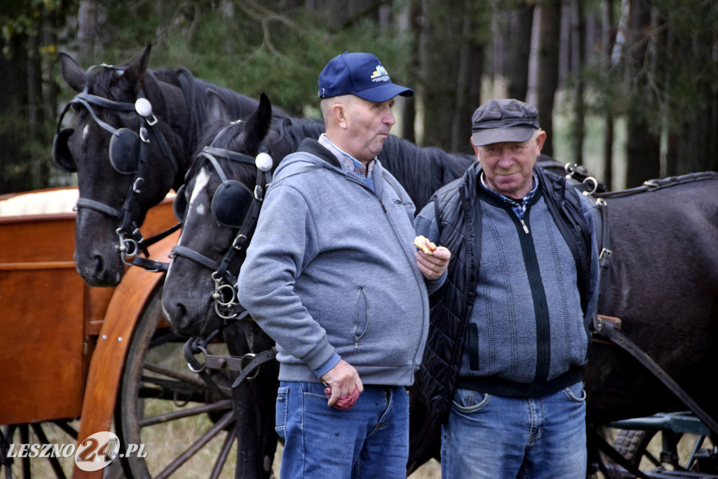 Wilkowicki Hubertus 2024