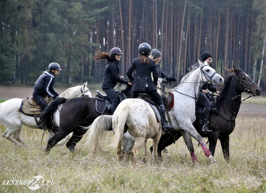 Wilkowicki Hubertus 2024