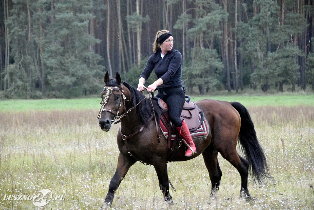Wilkowicki Hubertus 2024