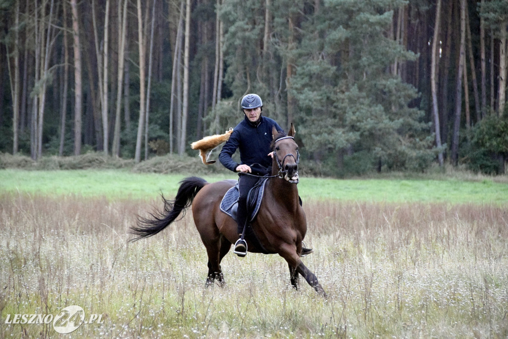 Wilkowicki Hubertus 2024