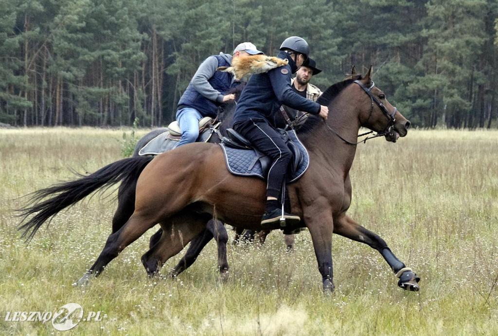 Wilkowicki Hubertus 2024
