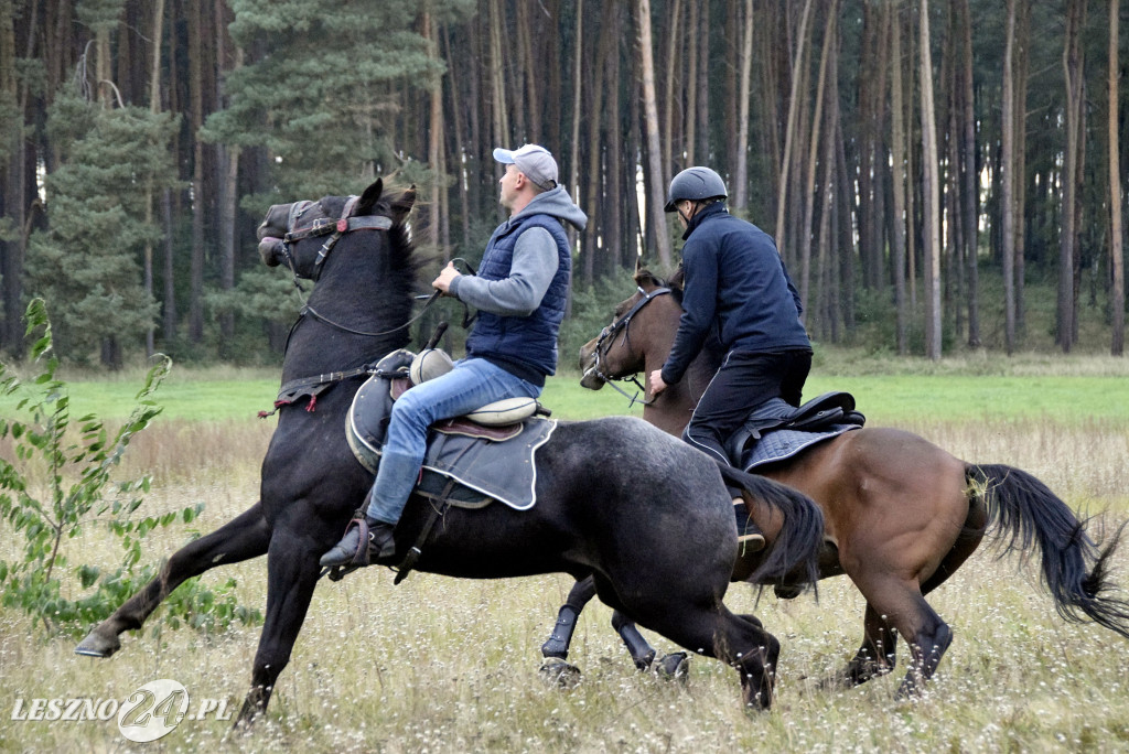 Wilkowicki Hubertus 2024