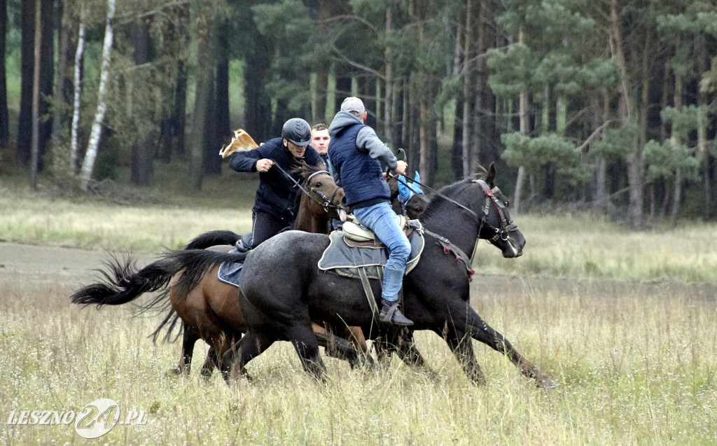 Wilkowicki Hubertus 2024