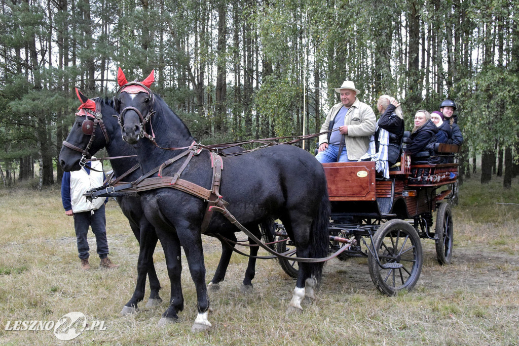 Wilkowicki Hubertus 2024