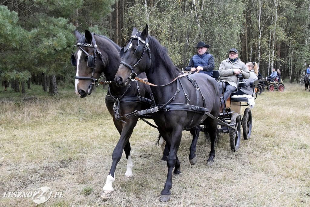 Wilkowicki Hubertus 2024