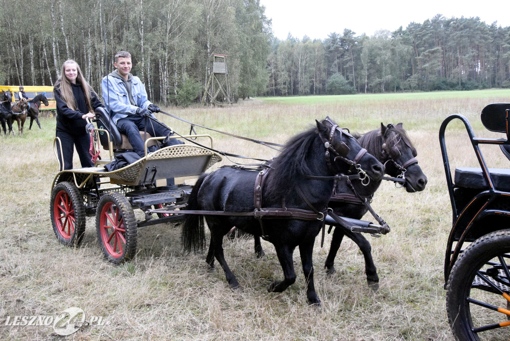 Wilkowicki Hubertus 2024