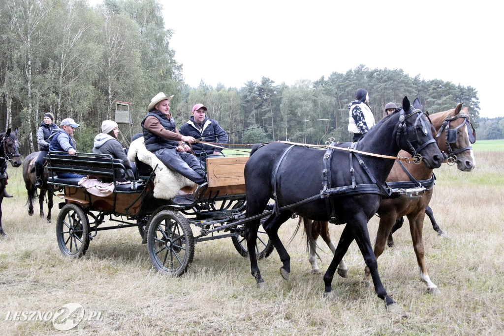 Wilkowicki Hubertus 2024