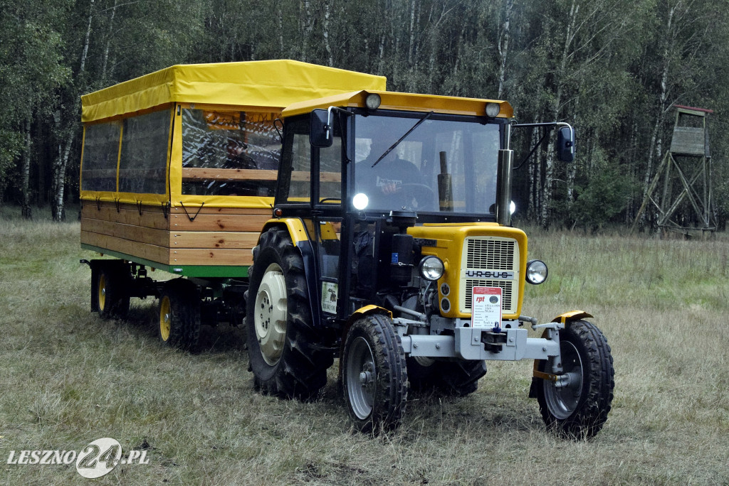 Wilkowicki Hubertus 2024