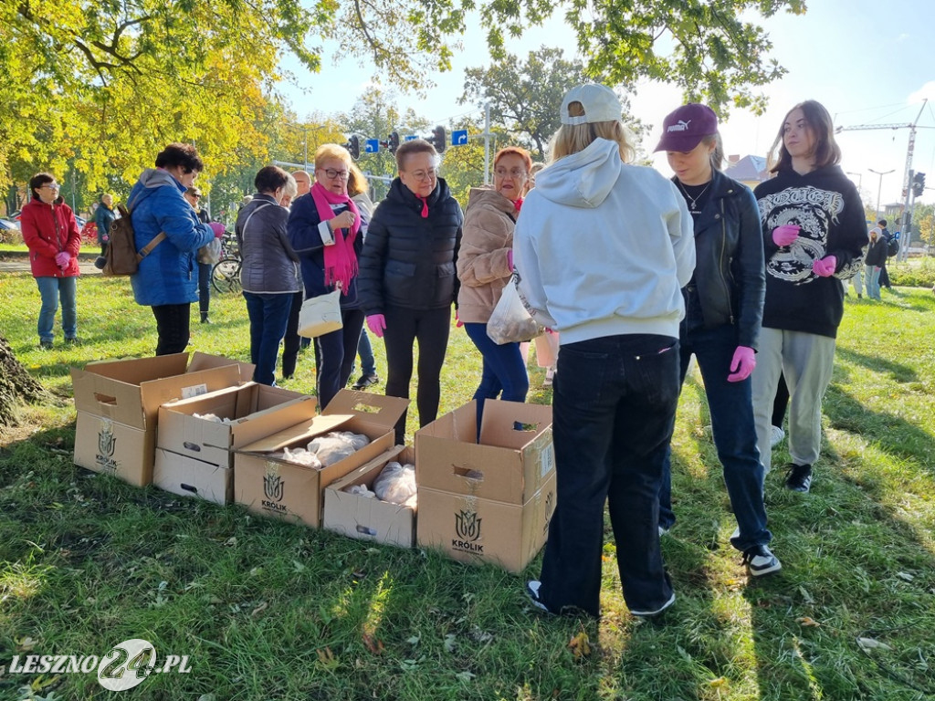 Amazonki i młodzież obsadziły Pole Nadziei