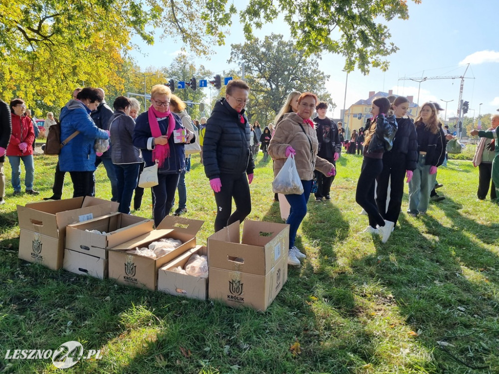 Amazonki i młodzież obsadziły Pole Nadziei