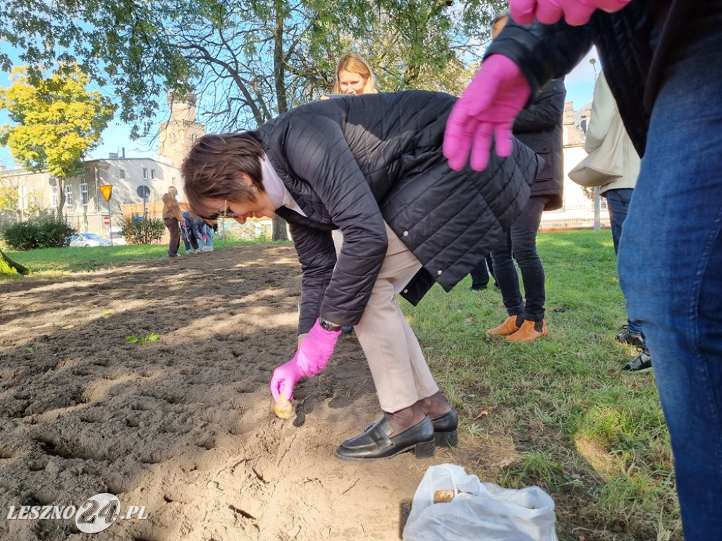 Amazonki i młodzież obsadziły Pole Nadziei