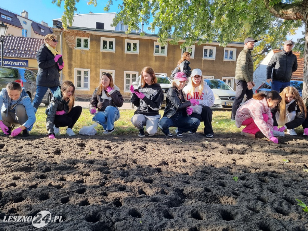 Amazonki i młodzież obsadziły Pole Nadziei