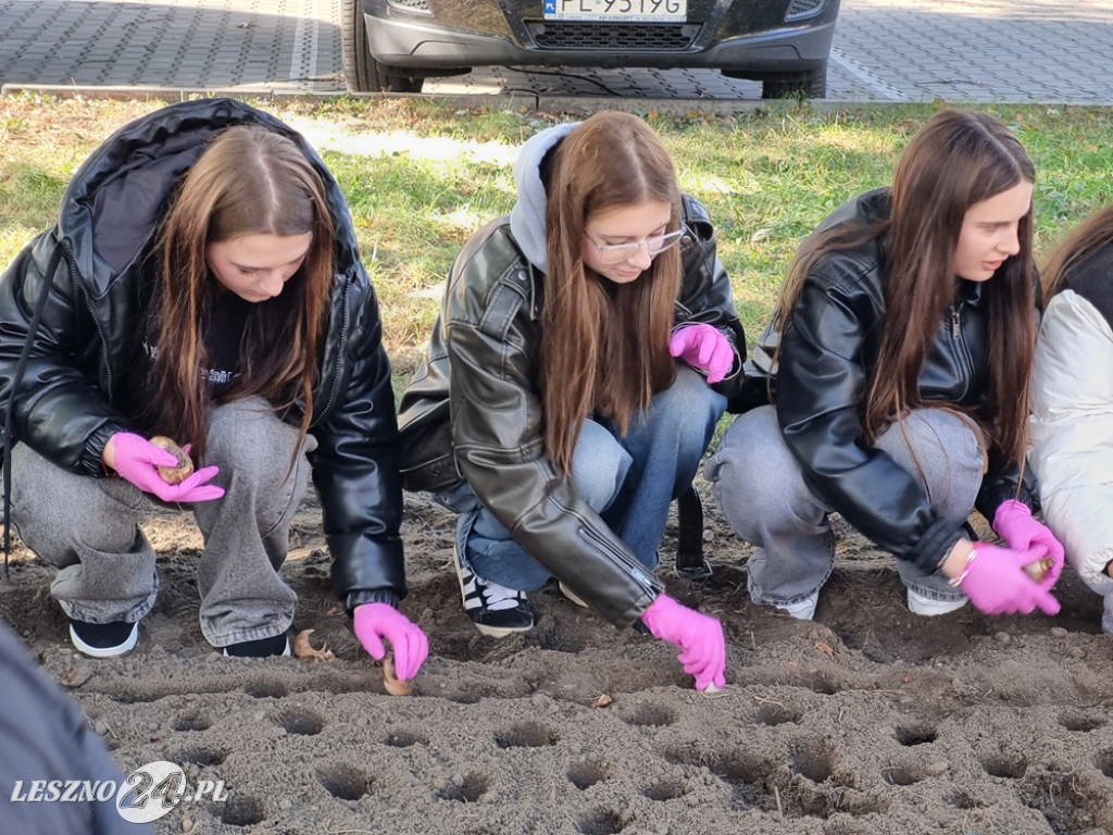 Amazonki i młodzież obsadziły Pole Nadziei