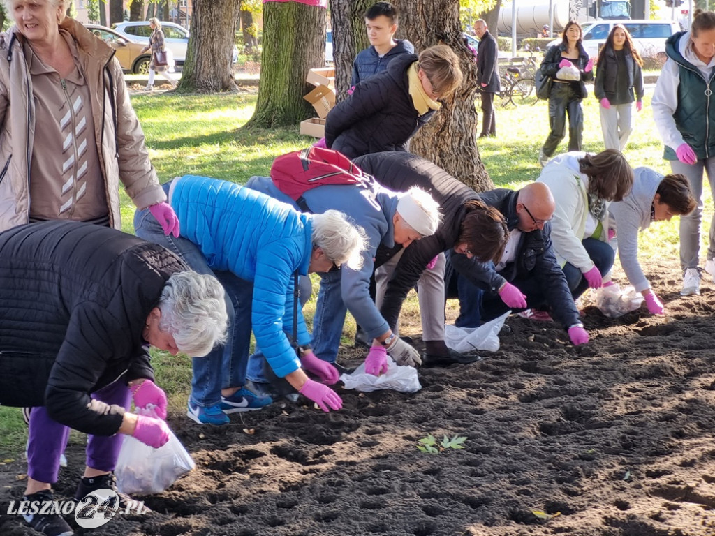 Amazonki i młodzież obsadziły Pole Nadziei