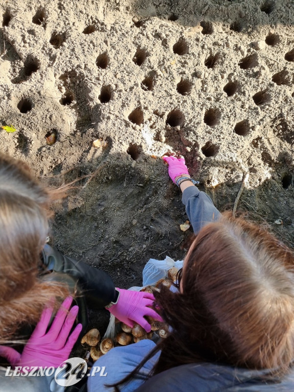 Amazonki i młodzież obsadziły Pole Nadziei