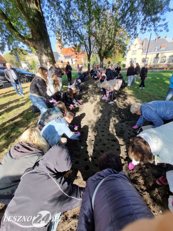 Amazonki i młodzież obsadziły Pole Nadziei