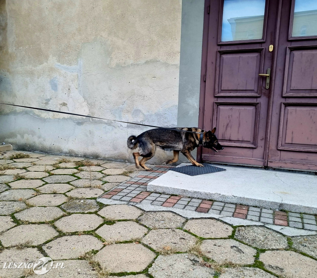 III Manewry Ratowniczo-Techniczne w Rydzynie