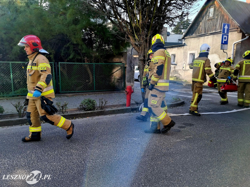 III Manewry Ratowniczo-Techniczne w Rydzynie