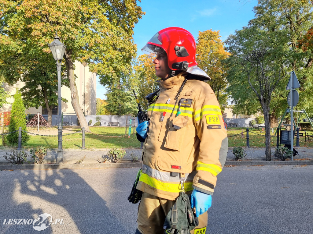 III Manewry Ratowniczo-Techniczne w Rydzynie